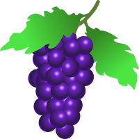 stuuf_grapes.png