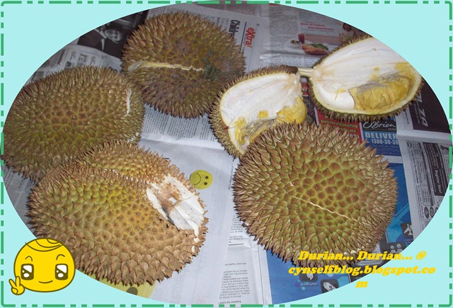 [durian 2[2].jpg]