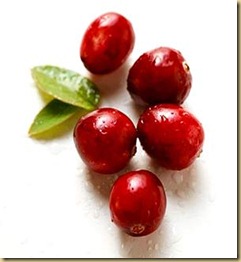 cranberry (1)