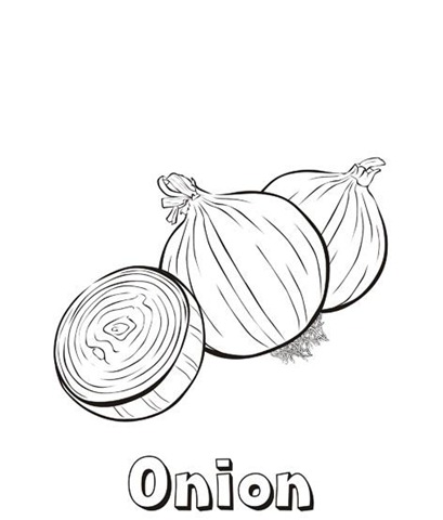 [onion[5].jpg]