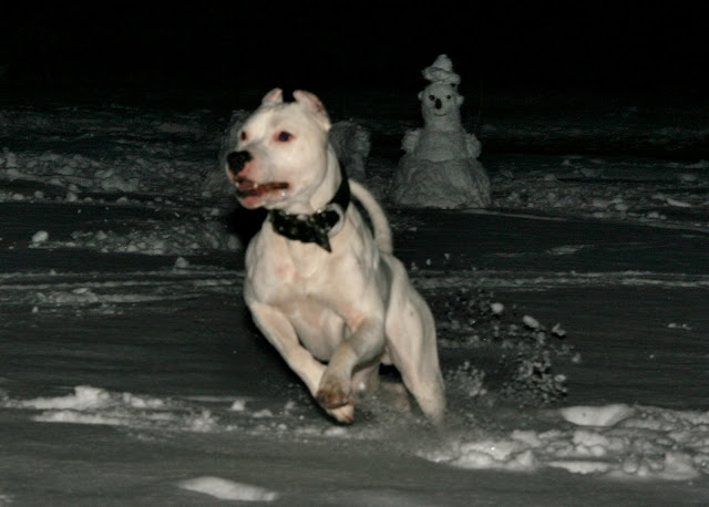 20100107_0679_v2.jpg
