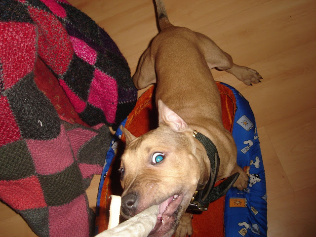 DSC02955.JPG