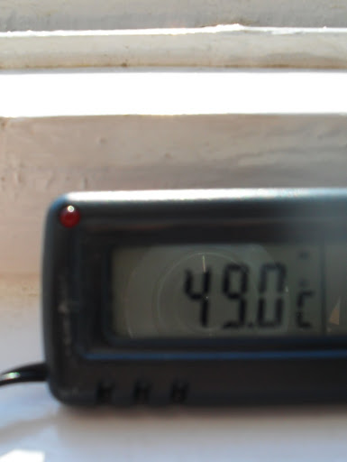 SDC10455.JPG