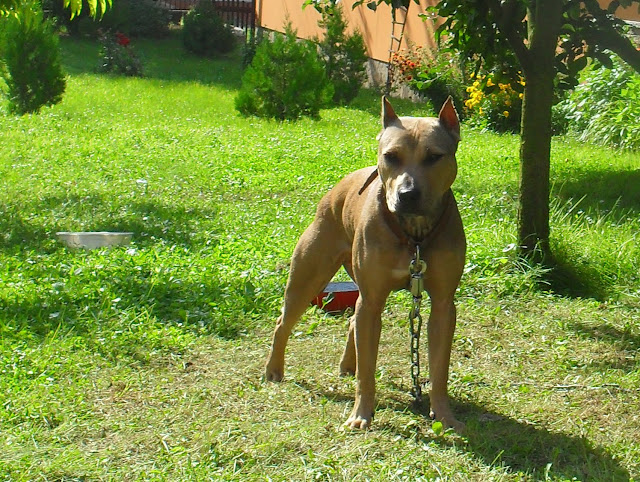SDC10710.JPG