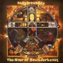 Badly Drawn Boy - The Hour of Bewilderbeast