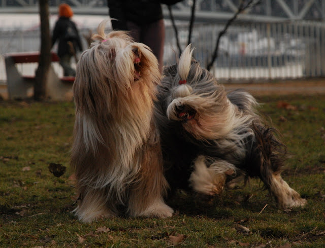 DSC_0143.JPG
