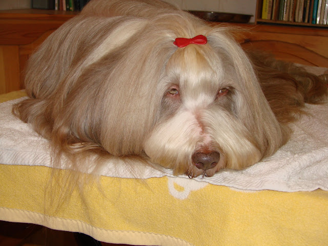 DSC09731.JPG
