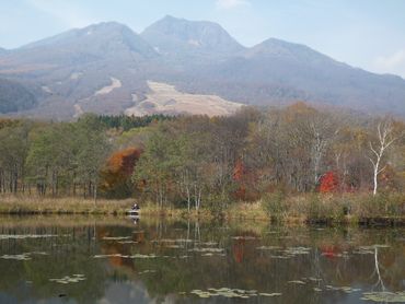 軽薄短笑 新潟県上越 妙高発 いもり池の紅葉