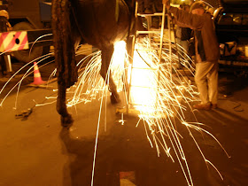 képek, fotók, pictures, bronzszobor, lovasszobor, fényképek,  Szeged, Tóth Béla, Tóth Dávid, IV. Béla, szobor, szobrász,   Széchenyi tér
