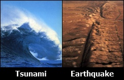 Tsunami/Earthquake