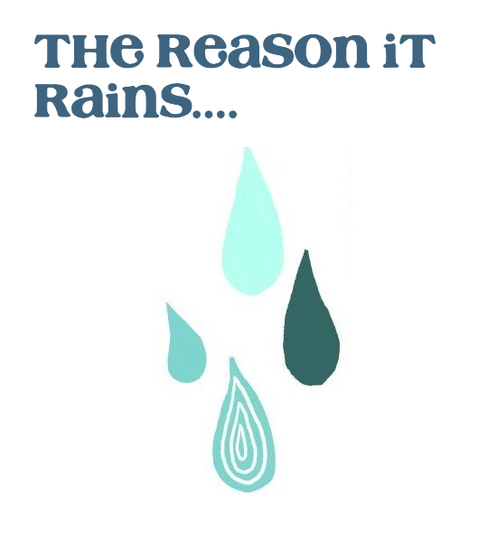 [the reason it rains[4].png]