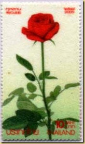 Thailand Rose scented Flox paper Thailand Rose scented Flox paper