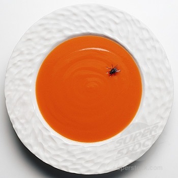 [soup..[2].jpg]