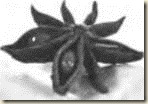 clip_image002