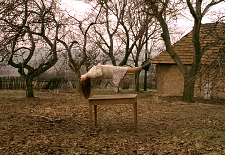 Záhrada - Martin Sulík, 1995