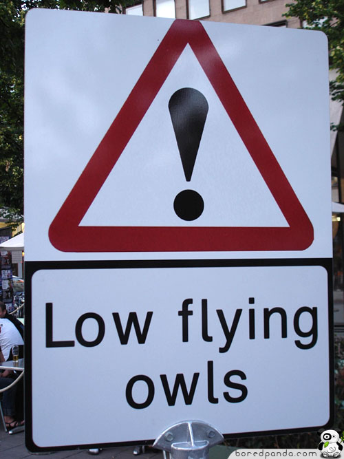 Funny-Signs-Owls-55.jpg