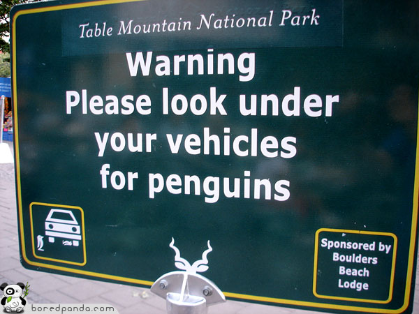 [Image: Funny-Signs-Penguins-50.jpg]