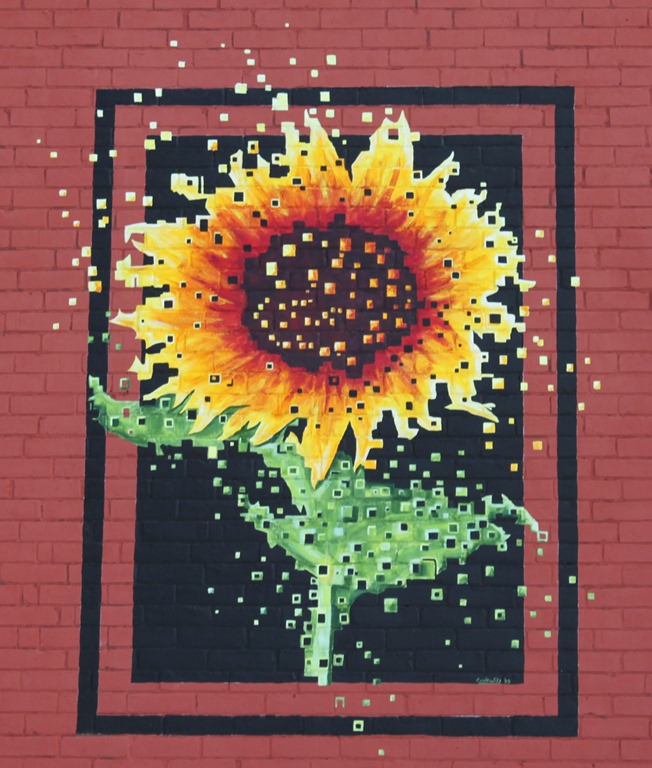 [Sunflower6.jpg]