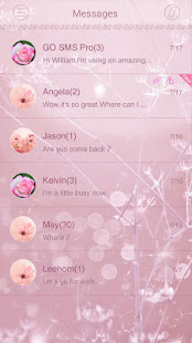 GO SMS PLANT A WISH THEME(圖2)-速報App