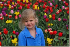 AG in multi tulips
