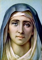 [Mary lety 1[4].jpg]