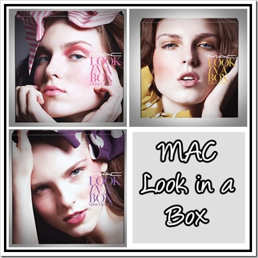 MAC-Look-in-a-Box-2010