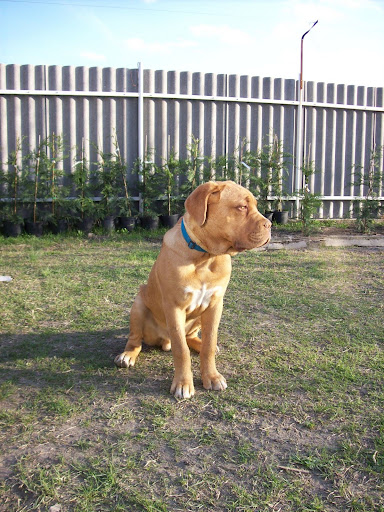 Athos%205%20029.jpg
