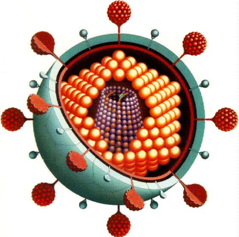 [virus microscopico[5].jpg]