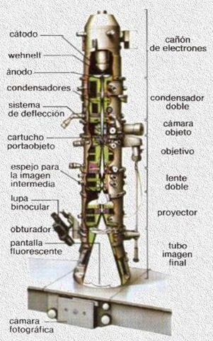 [microscopio electronico[7].jpg]