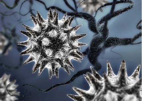 [enfermedades virus[4].jpg]