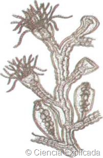 [clip_image00211.jpg]