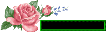 sabado6.png