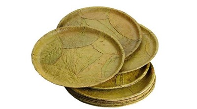 sal leaf plates