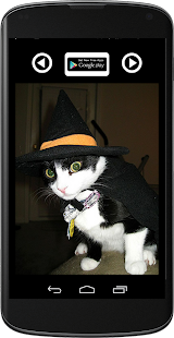 How to install HALLOWEEN PETS COSTUMES patch 1.4 apk for laptop