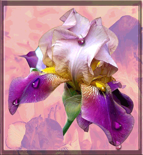 00bG053snsm.png