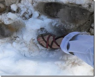deb feet in snow
