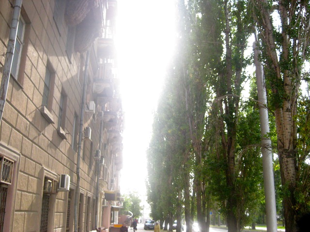 [IMG_18094.jpg]