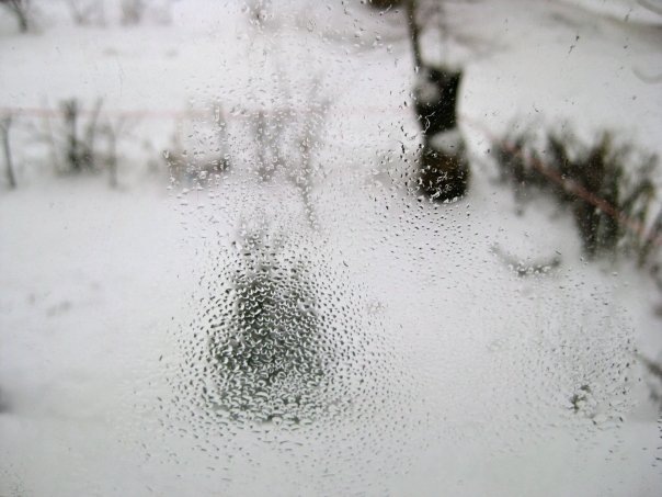 [14537_1310607727325_1294575323_30916847_2694736_n[4].jpg]