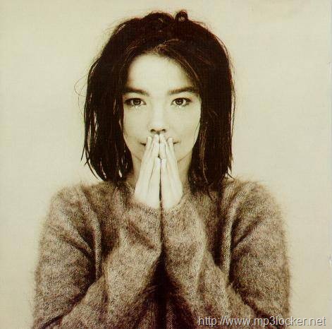 bjork 1993