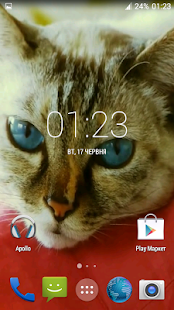 Beautiful Cat Video Wallpaper(圖2)-速報App