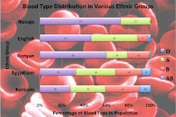 Ethnic Group Type
