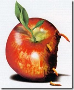 apple-rotten