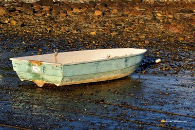Boat1 Boat1