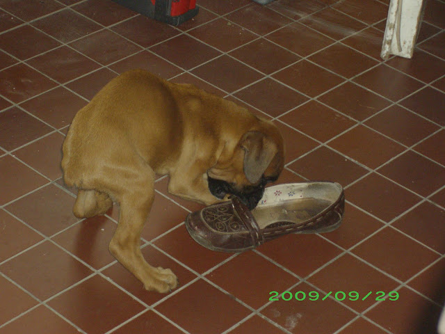 IMGP3969.JPG
