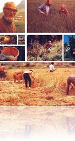 Proyecto Fukuoca Proyecto Fukuoca