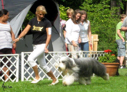 20100820_016.jpg