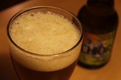 [Xmas Beer 2010 Alvinne Melchior foam2 800[3].jpg]