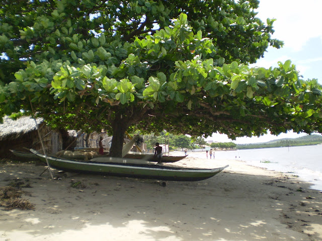 porto de pedra, pescador, peixe, mar