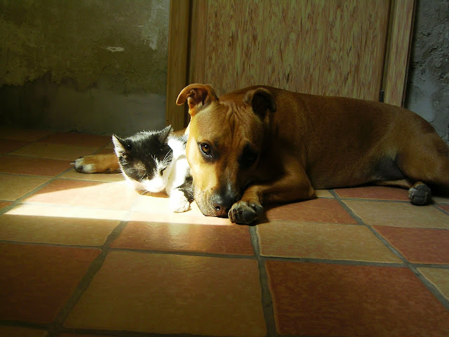 SANY2004.JPG
