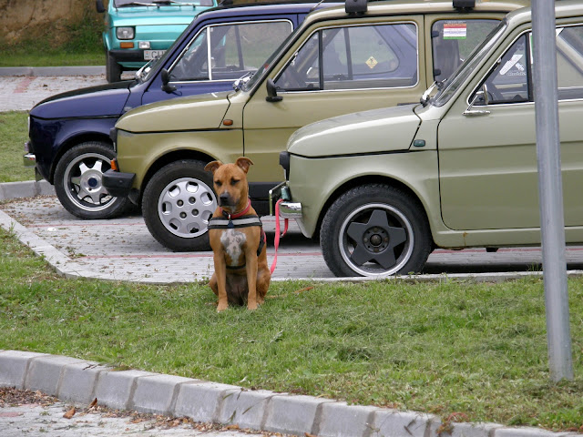 PA029630.JPG